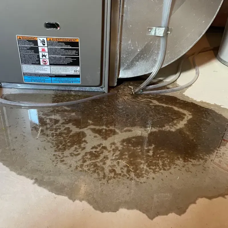 Appliance Leak Cleanup in Monroe, NC